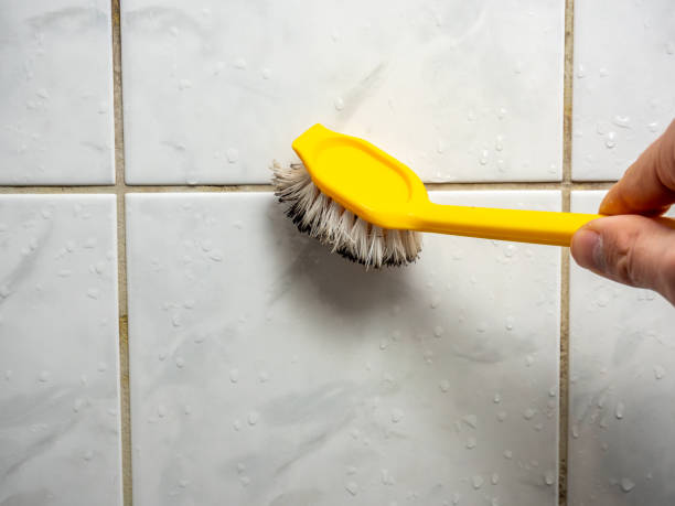 Best Home Mold Removal  in Dyer, IN